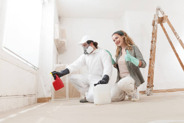 Williamston, SC Mold Inspection, Removal & Remediation Company